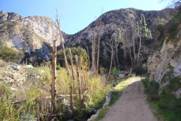 Trail_Canyon_Falls_010_01192013