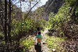 Trail_Canyon_Falls_228_01222022 - Julie and Tahia continuing on the return hike back to the Big Tujunga Canyon Road