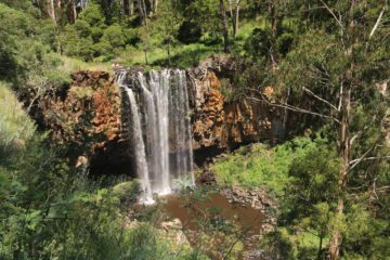 Trentham Falls was one of the more well-known and popular waterfalls in the state of Victoria.  And as you can see from the photo at the top of this page, it was little wonder why this was the case...