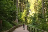 Triberg_033_06202018 - As soon as we paid the entrance fee and went into the Triberg Waterfalls area, we found ourselves in a very green area as if we were now in a whole different world quite different from the developments of Triberg
