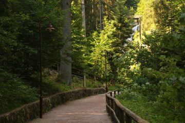 Triberg_039_06212018