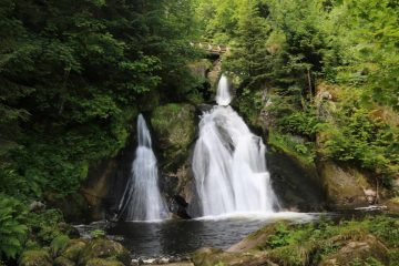 Triberg_156_06212018