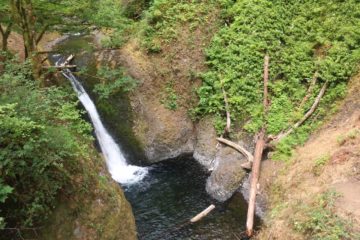 The Middle Oneonta Falls was one of four waterfalls on the Oneonta Creek within the Oneonta Gorge.  It got the name 