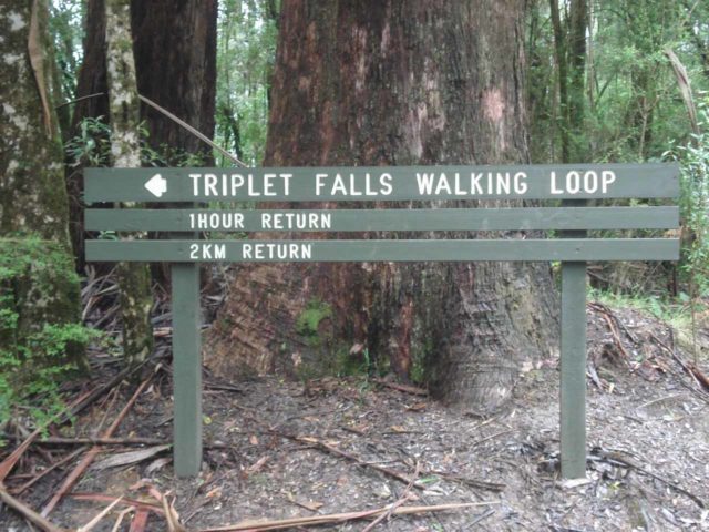 Triplet_Falls_001_jx_11152006 - The Triplet Falls Track was open during our visit in November 2006 and it didn't seem to show any evidence of the vandalism that took place that had closed the trail