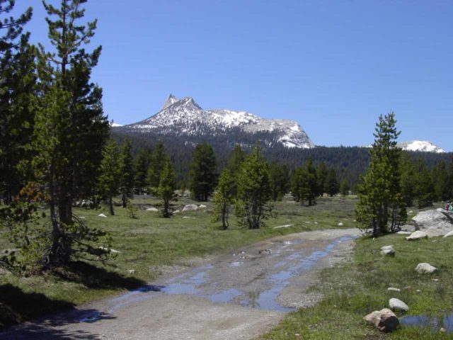 Tuolumne_Meadows_002_05292004 - Hiking from Lembert Dome towards Soda Springs and the Tuolumne Meadows with Unicorn Peak in the background at the start of our hike to Tuolumne Falls and beyond