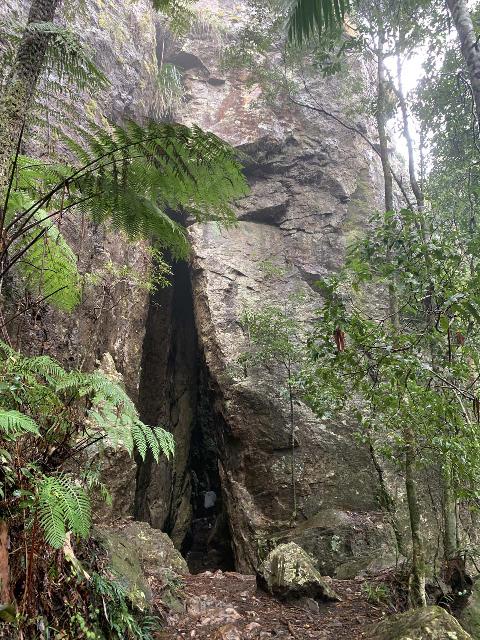 Twin_Falls_005_iPhone_07062022 - This tall rock cave was one of the highlights of doing the short loop walk to the Twin Falls in Springbrook National Park