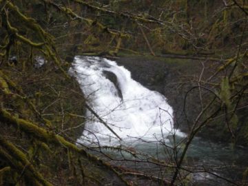 Twin Falls is yet another one of those unimaginatively-named waterfalls in Silver Falls State Park.  This one is short (probably 20-25ft or less), but it's split in the middle by a...