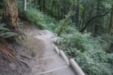 Twin_Falls_Olallie_17_042_07302017 - This was where the Twin Falls Trail descended to get around a landslide that occurred in 2014