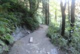 Twin_Falls_Olallie_17_050_07302017 - During the second ascent, I noticed this block of wood on the ground, which made me wonder if the Twin Falls Trail was buried as this could very well have been a bench. This photo was taken during my July 2017 hike