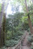 Twin_Falls_Olallie_17_077_07302017 - Going back up the 104 steps to regain the Twin Falls Trail after having my fill of the Twin Falls in July 2017