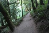 Twin_Falls_Olallie_17_100_07302017 - Trying to satisfy my curiosity by continuing up the Twin Falls Trail beyond the Upper Twin Falls just to see where it was going