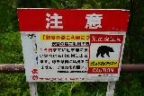 Ubagataki_023_07042023 - Bear sign seen on the way down to the Ubagataki Falls