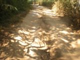 Umphang_Wildlife_Sanctuary_055_jx_01022009 - Navigating over ruts and potholes