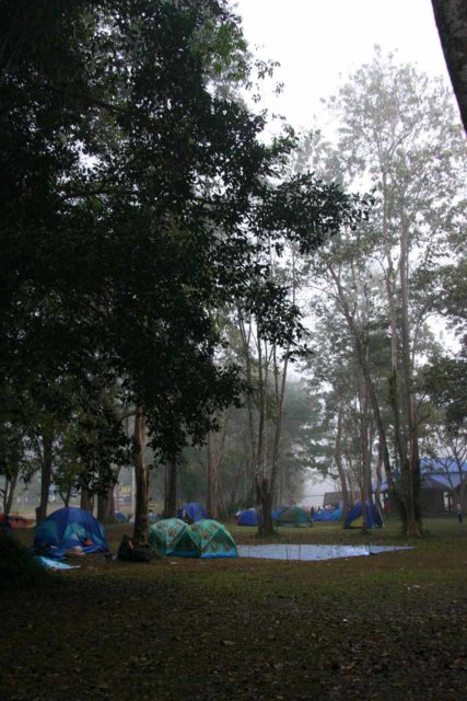 Umphang_Wildlife_Sanctuary_114_01032009 - Camping near the Thi Lo Su Waterfall in the Umphang Wildlife Sanctuary