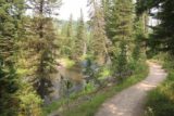 Union_Falls_092_08122017 - The Mountain Ash Creek Trail flanking the pretty wide Mountain Ash Creek