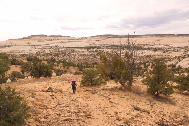 Upper_Calf_Creek_Falls_18_052_04022018 - Mom traversing the sand and sandstone wilderness en route to the Upper Calf Creek Falls after the initial steep descent