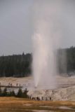 Upper_Geyser_Basin_17_034_08112017 - The impressive eruption of the Beehive Geyser, which was said to go off pretty rarely (maybe once or twice a day)