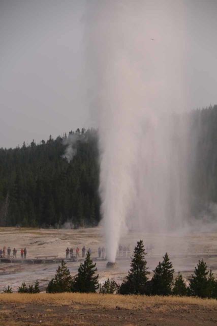 Upper_Geyser_Basin_17_045_08112017 - Probably the most impressive of the geysers we managed to see erupting in the Old Faithful area was the Beehive Geyser, which was said to go off once or twice a day