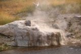 Upper_Geyser_Basin_17_165_08112017 - Another look at the Riverside Geyser, which was actually spewing out enough water to form a tiny waterfall spilling out of its vent