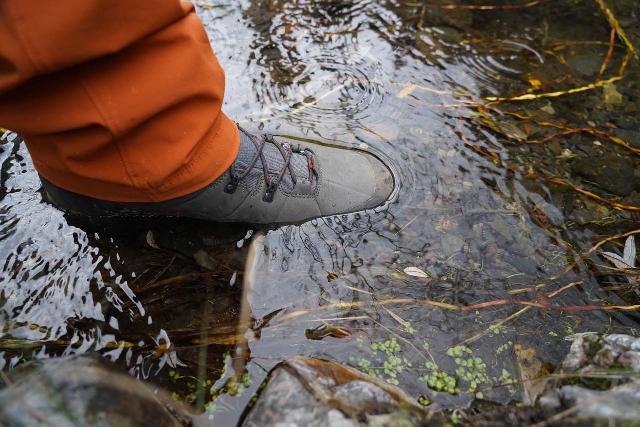 We bought and used this La Sportiva Hiking Boot, which was recommended to us while shopping at REI, and I was glad it was more than capable of handling the rough and wet terrain in the Upper Hot Spring Canyon in the Santa Ana Mountains of Orange and Riverside Counties in Southern California