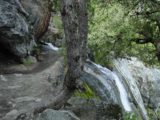 Upper_Yosemite_Falls_019_04302005 - Potentially hazardous stream crossing on the top of Yosemite Falls Trail