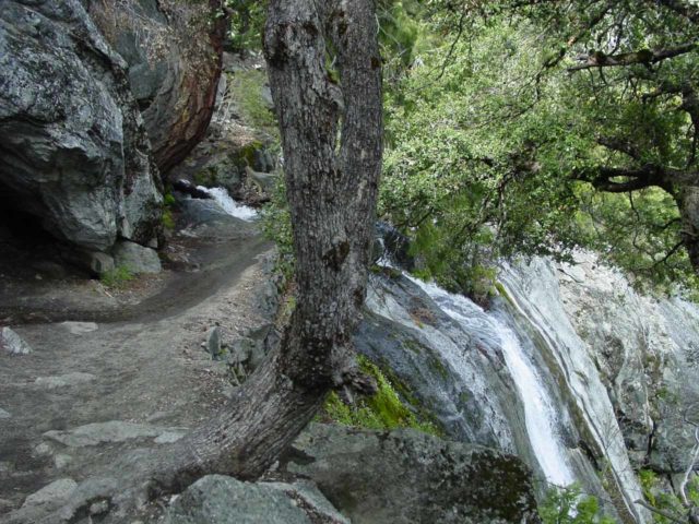 Upper_Yosemite_Falls_019_04302005