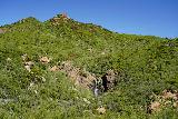 Upper_Zuma_Falls_064_03242023 - Spotting a second intermediate waterfall as seen from the Backbone Trail beyond the Zuma Creek Bridge