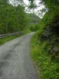Utladalen_006_06282005 - On the trail or local residential road towards Vetti