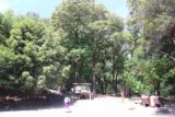 Uvas_Canyon_004_05192016 - Even though we didn't do the Uvas Canyon Waterfalls per the recommended route that we described above, this photo gallery chronicles how we ended up doing things during our visit.  This was Mom starting on the hike as we left the parking lot