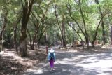 Uvas_Canyon_005_05192016 - Mom walking through the picnic area by the parking lot for Uvas Canyon County Park