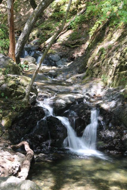 Uvas Canyon Waterfalls - South Bay Area's 6-Waterfall Refuge