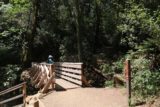 Uvas_Canyon_020_05192016 - Mom checking out Granuja Falls from the footbridge in front of it