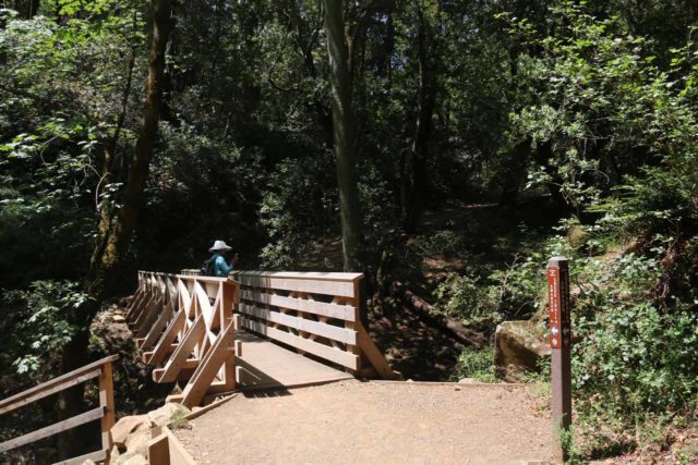 Uvas_Canyon_020_05192016 - Mom at the footbridge before the Granuja Falls, which also sat at the bottom of the Waterfall Loop