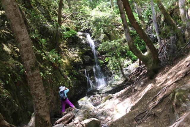 Uvas_Canyon_051_05192016 - Mom standing before the Black Rock Falls - another one of the Uvas Canyon Waterfalls