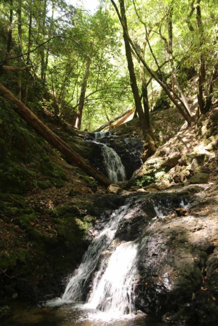 Uvas_Canyon_072_05192016 - The attractive two-tiered Upper Falls, which was probably the second prettiest falls in the main part of Uvas Canyon County Park, in our minds