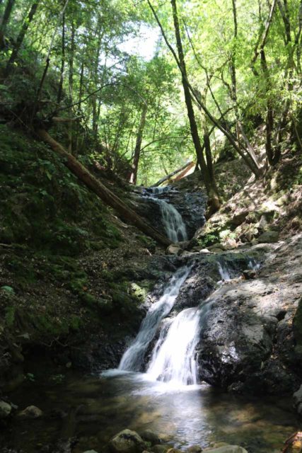 Uvas_Canyon_081_05192016 - The attractive two-tiered Upper Falls - another one of the Uvas Canyon Waterfalls