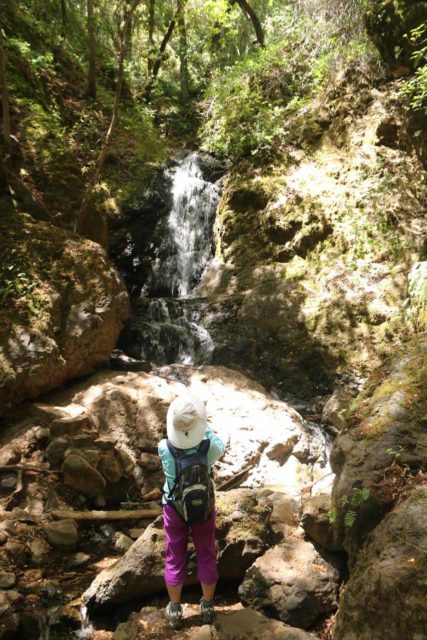 Uvas_Canyon_104_05192016 - Just a short distance upstream from the Upper Falls was the diminutive Basin Falls