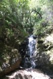 Uvas_Canyon_111_05192016 - This was the Basin Falls at the very top end of the Waterfalls Loop in the Uvas Canyon County Park