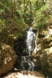 Uvas_Canyon_126_05192016 - Still another look at Basin Falls