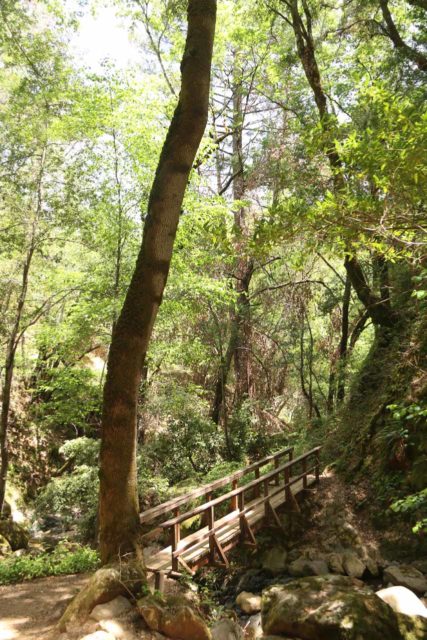 Uvas_Canyon_135_05192016 - Looking back at one of the footbridges on the early part of the Waterfall Loop in Uvas Canyon going in a clockwise direction