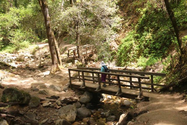 Uvas_Canyon_181_05192016 - Mom hiking over footbridges on the Waterfall Loop part of the Uvas Canyon Waterfalls excursion