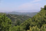 Uvas_Canyon_204_05192016 - Looking off in the distance from the obstructed lookout near the Contour Trail