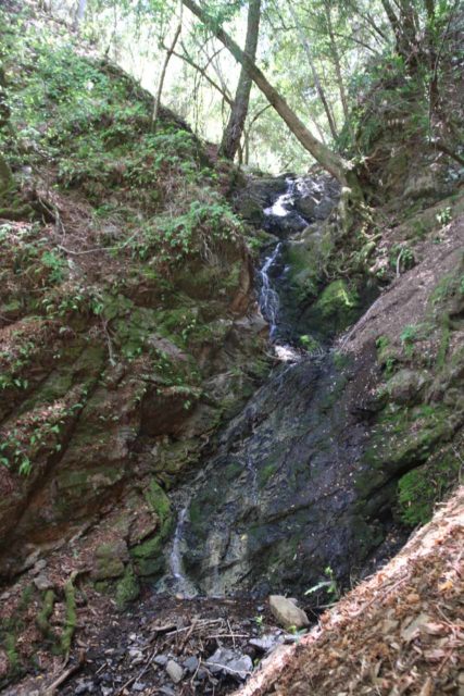 Uvas_Canyon_237_05192016 - Triple Falls - the lone wolf of the Uvas Canyon Waterfalls
