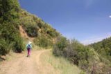 Uvas_Canyon_245_05192016 - This was the primarily uphill stretch of trail that was also exposed to the sun before it was all downhill again