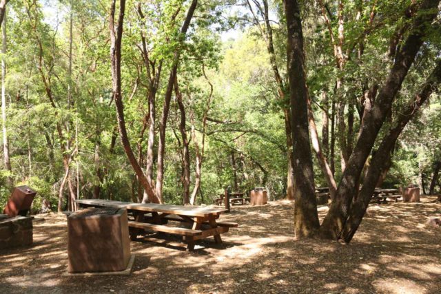 Uvas_Canyon_253_05192016 - The picnic area near the Uvas Canyon County Park Trailhead as we headed further downstream along Swanson Creek for the Lower Falls