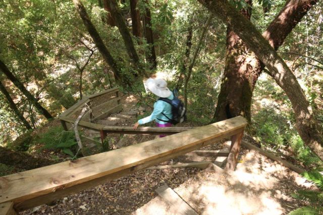 Uvas_Canyon_259_05192016 - Mom descending steps deeper into the canyon in pursuit of the Lower Falls