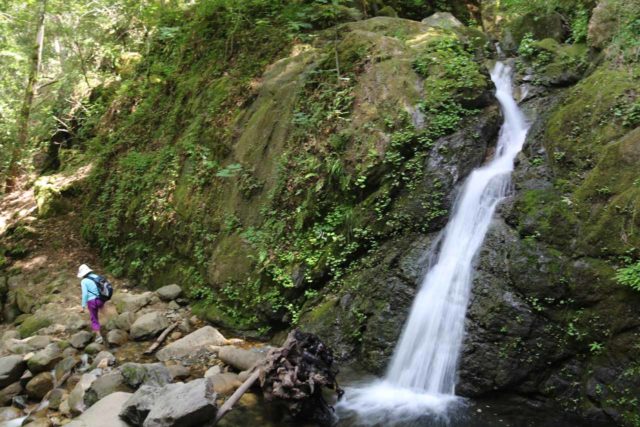 Uvas_Canyon_301_05192016 - Lower Falls (or Uvas Falls) - one of the Uvas Canyon Waterfalls