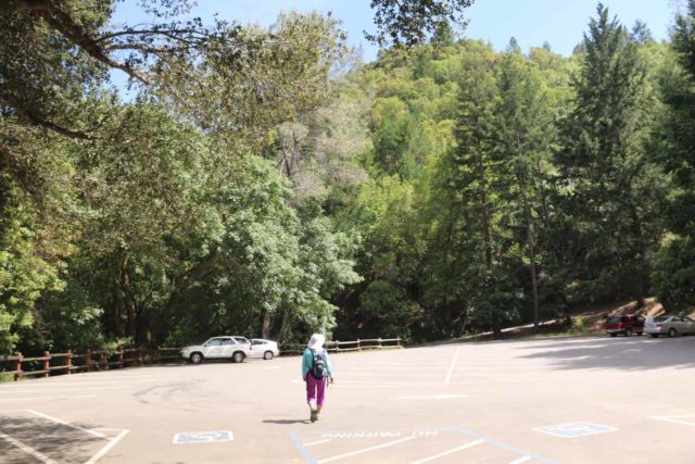 Uvas_Canyon_313_05192016 - Mom returning to the parking lot for the Uvas Canyon County Park after having our fill of the Lower Falls (the last of the waterfalls that we encountered)