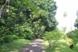 Vaipahi_Garden_003_20121215 - The walking path through the Vaipahi Public Garden