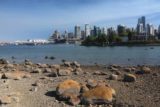 Vancouver_083_07312017 - Looking back towards some Olympic-inspired buildings on the Vancouver waterfront fronted by some stained rocks on Stanley Park